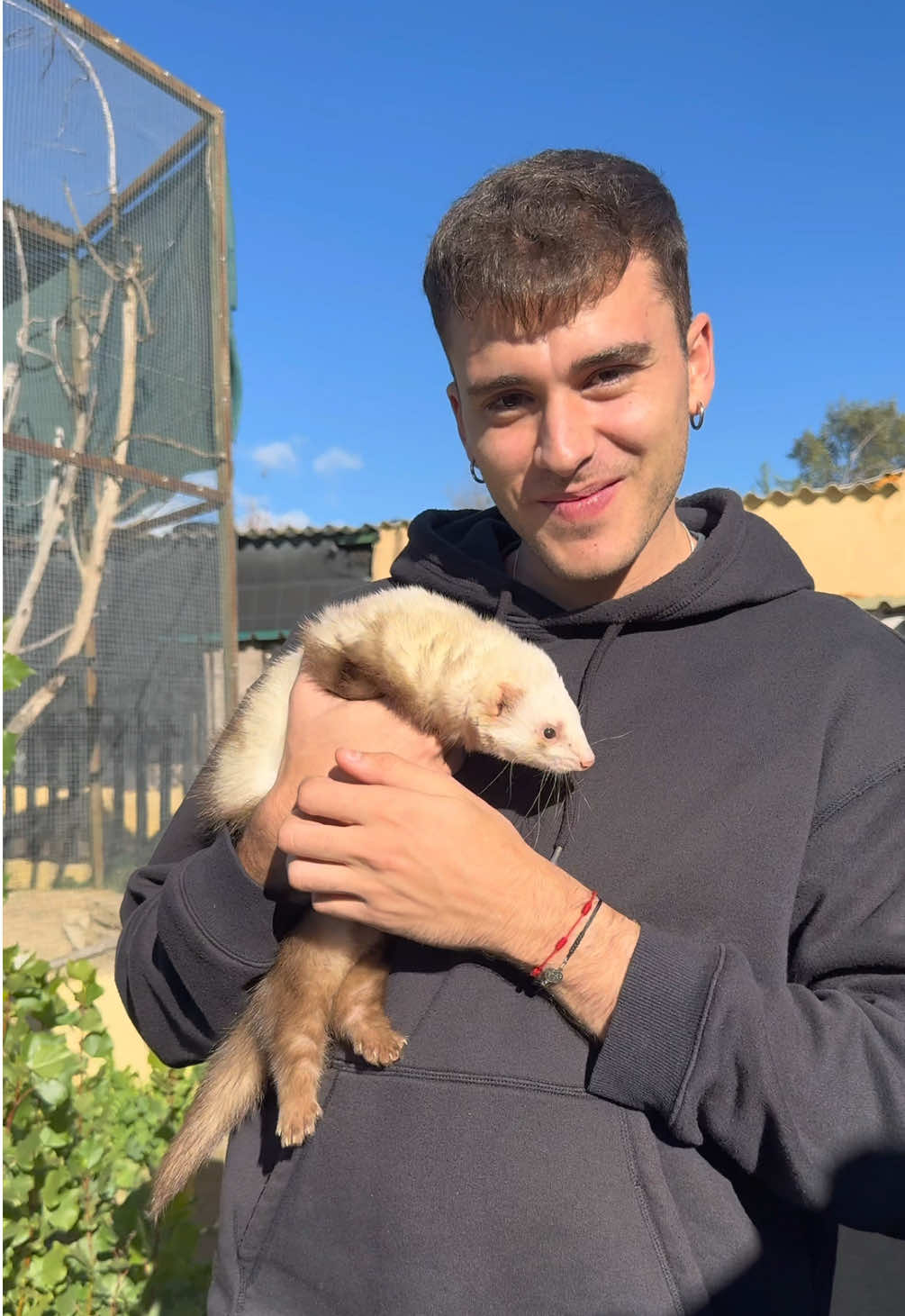 Pequeño resumen del centro de rescate de animales salvajes, la comida son donaciones y los yogures están caducados @Kuna Ibérica 