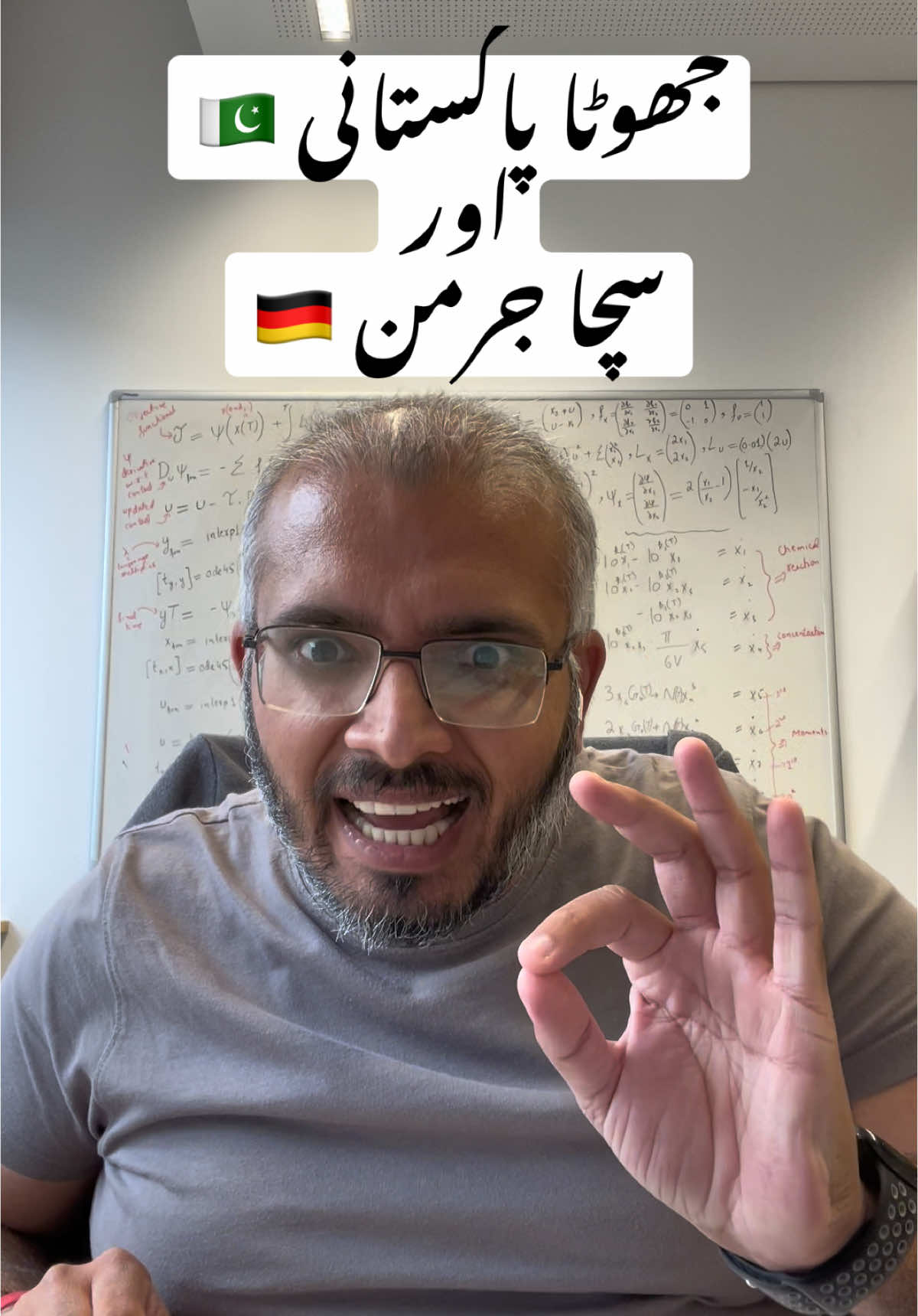 جھوٹا پاکستانی 🇵🇰 اور سچا جرمن 🇩🇪