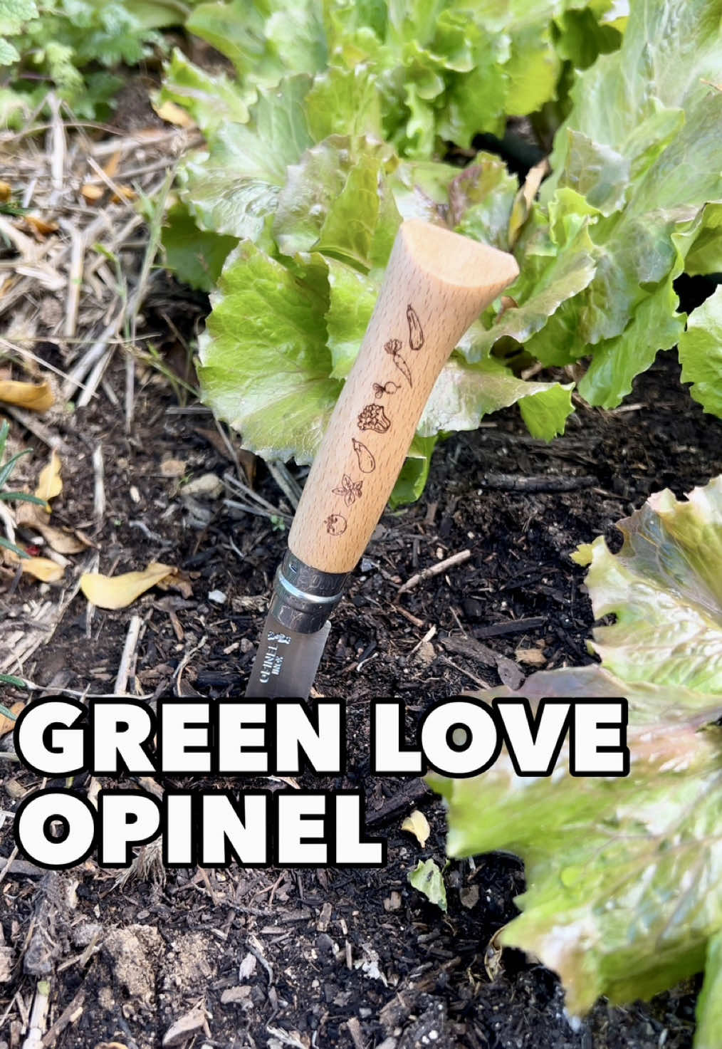 The Green Love Opinel in Limited Edition 💚 It’s kind of a dream! I’m so happy to present you this exclusive Green Love Opinel Pocket Knife. We designed it to be the food growing pocket knife with engraved vegetables & fruits, such as Basil, Tomato, Lettuce, Lemon and more. I wanted something raw but elegant too. I think we achieved this and I truly hope that you love it too! There are only 400 units of this wonderful Green Love pocket knife, so don’t wait to grab yours! 2 ways to get it  For now, you can only get it in the seed box from Kokopelli Semences (check out the link in my bio) which contains also 6 amazing heirloom varieties (Lettuce, Eggplant, Radish, Tomatoes, Courgette) to plant in your garden or in pots & containers.  If you want to order the knife alone, fill in the google form (link in my bio) so that I can save the knife for you and you’ll be immediately informed you once it is available as a standalone & ready for shipping.  A huge thank you to Opinel for making this happen and to Kokopelli Semences for creating this beautiful seed box.  Thanks for your support & Green Love to you! 💚 #garden #Sustainability @Opinel 