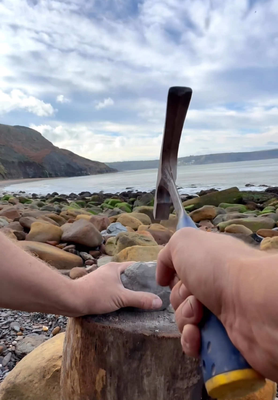 Investigating a suspicious beach stone we found while fossil hunting for Jurassic sea creatures! We also show one of our Golden Nodules 😍🤯 The large nodule has an outer coating of Iron Pyrite (Fools Gold) 💎🔬 The ammonite inside is an Eleganticeras, around 180 Million Years Old, older than the majority of the land dinosaurs! 🦖🌲#cannon #ball #fossil #fossils #cannonball #animals #art #ammonite #ammonites #dinosaur #scientist  #minerals #paleontology #whitby #geologist #dorset #geology #charmouth #jurassic #yorkshire #fyp