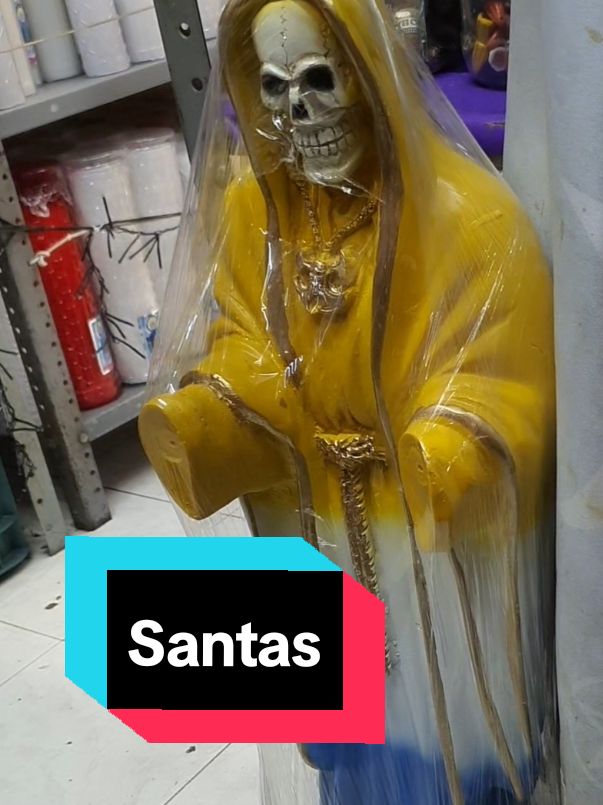 WhatsApp 55 91 69 81 71 #esoterismo  #brujasdetiktok #brujas #santeria #religion #Tarot #comedia #humor  #espiritualidad #fyp #orishas #catoftiktok #catolicostiktok #tarottok  #magia #viral #trending #sanación #demonios #espiritual #pazinterior  #demoniosdesangre #Santa #foryoupage❤️❤️ 