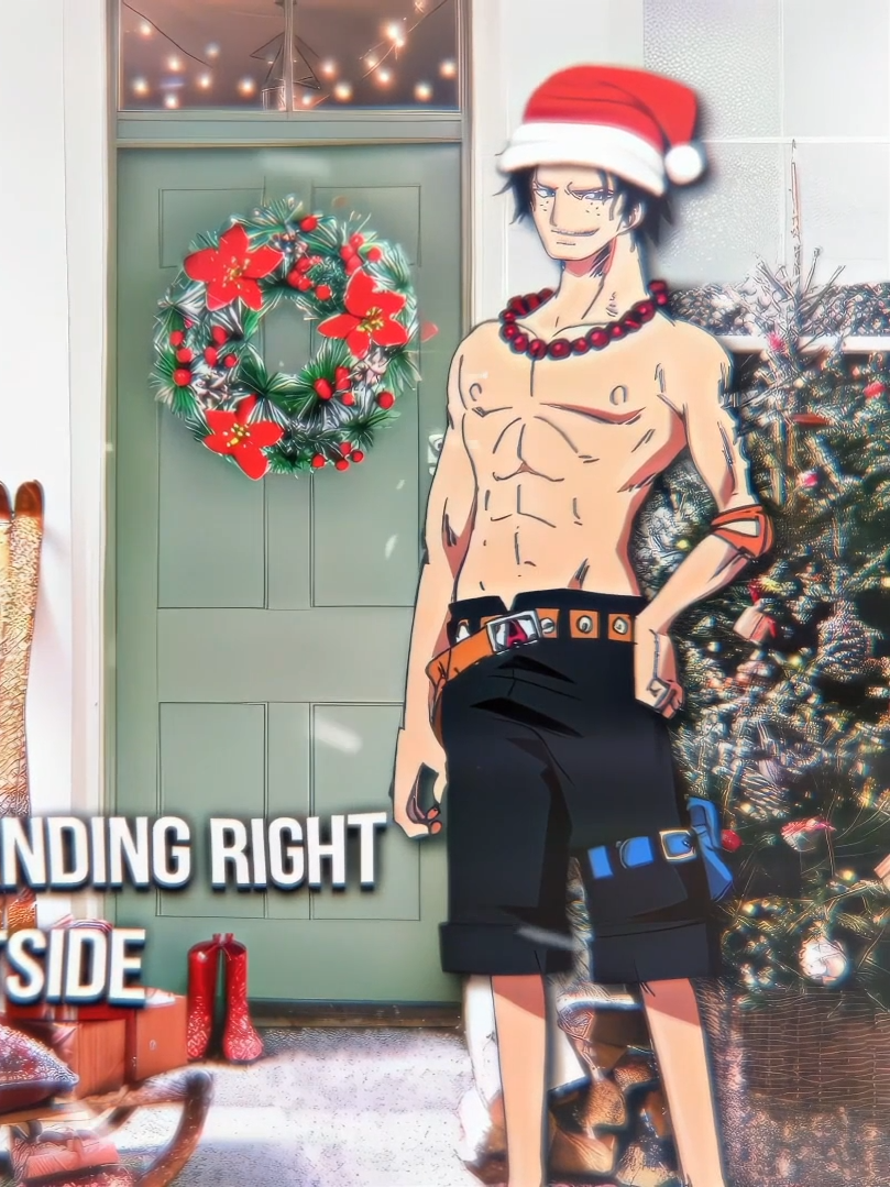 22/30🎄#ace #portgasdace #onepiece #onepieceedit #tokamisquad