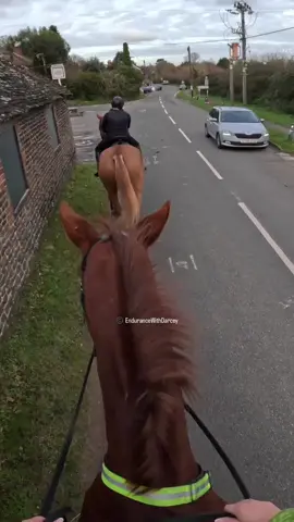 What happens when you put two ginger horses together! For once I think Max did better 🤣 #horse #horseriding #horsesoftiktok #equestrian #equine #gopro 