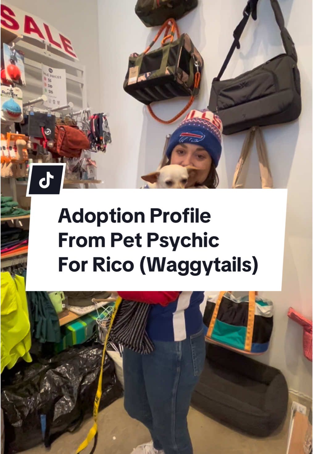 Meet Rico an adoptable chihuahua from WaggyTails Rescue. This is what he is looking for for his new home/family. #adoptablesoftiktok #dogtok #chihuahua #smalldogsoftiktok #fostermom #petpsychicreading #animalcommunicator #dogpsychic #dogwhisperer #doginterview #dogthoughts 