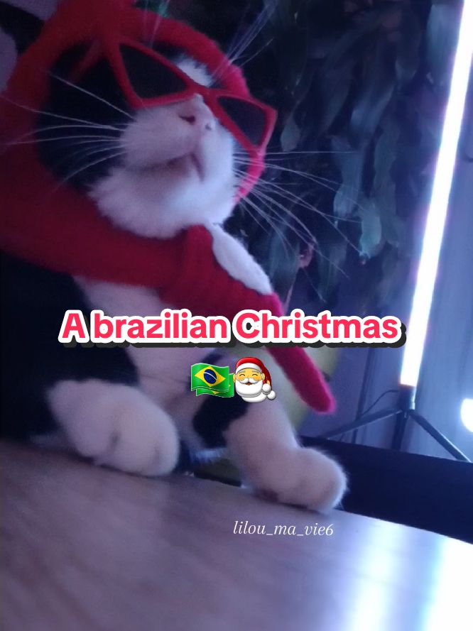 Jingle the bells in Brazil 🔔🇧🇷🎅 🖤Have a pleasant week on this magical tune 😽🤍 #ypfッ #catsoftiktok #christmas #brasil🇧🇷 #phonk #funk  #ninadancingqueen #catdance 