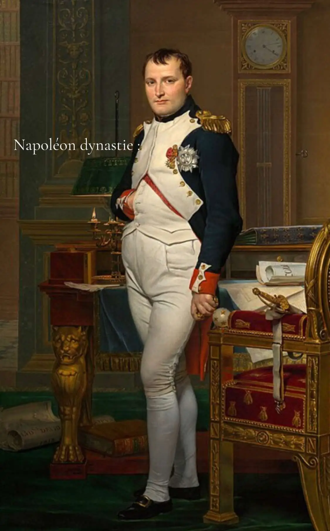 #napoleon #france🇫🇷 #🇫🇷🦅🐝 Telle une étoile filante dans le ciel de l’Histoire, la famille Bonaparte a illuminé les siècles d’un éclat de gloire, laissant dans son sillage le souffle immortel de la grandeur et du destin.🇫🇷🦅