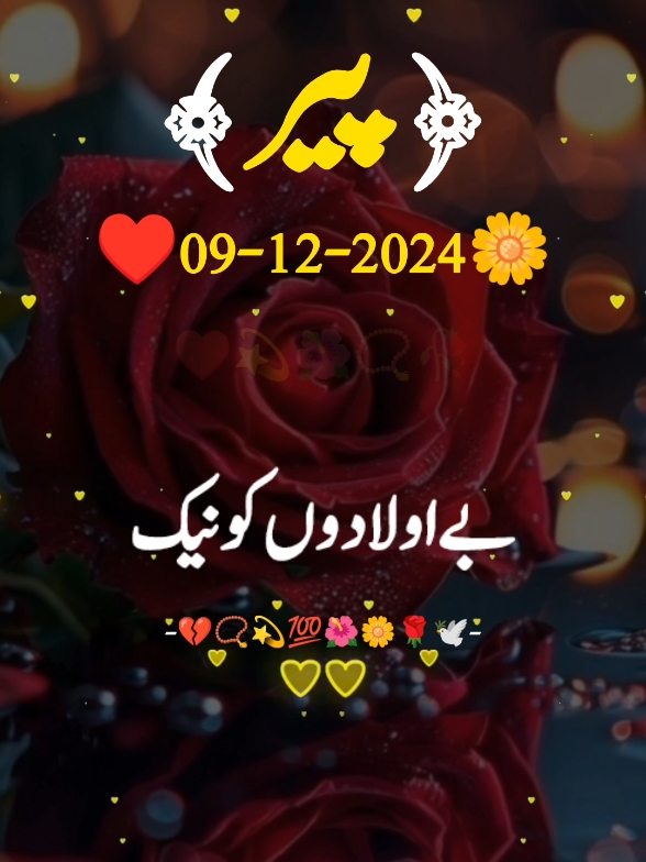 happy Monday morning#foru  #forupage #fyp  #vairalvideo #urdupoetry #urdushairi #urdu #typ #status #100k #5000k #tiktoklover #1millionaudition #sajjadwrites02  #tiktokpakistanofficial @𓆩Sajjad ❦Writes☙ 