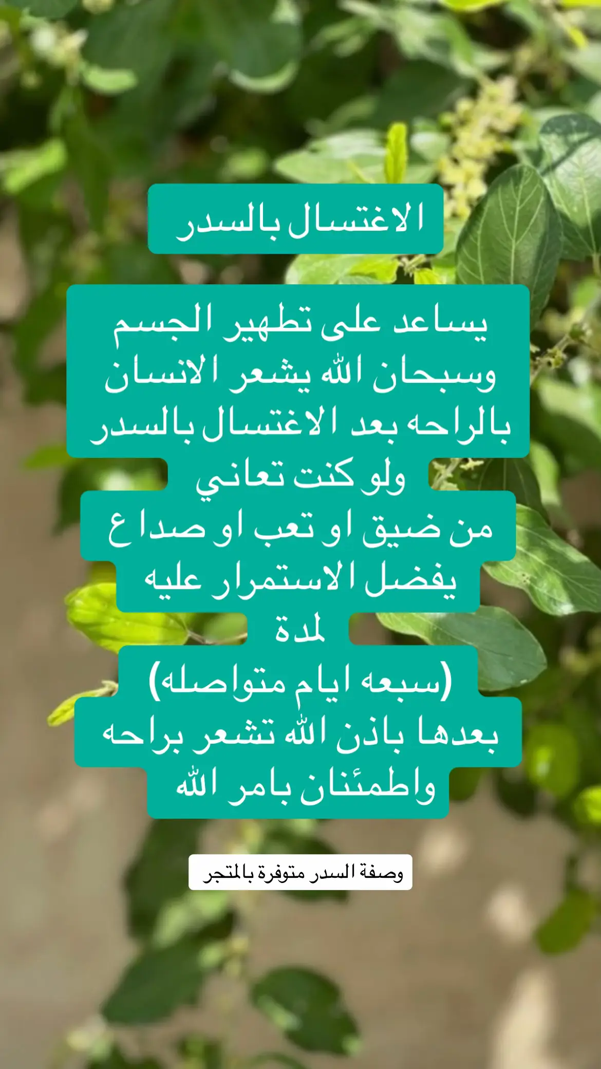 #تجارب_وصفة_الرومي #خلطة_الرومي #الرقية_الشرعية #فهد_القرني #صبخه_الراس #‏كيفية استعمال خلطة الرومي #صبخة_السدر 