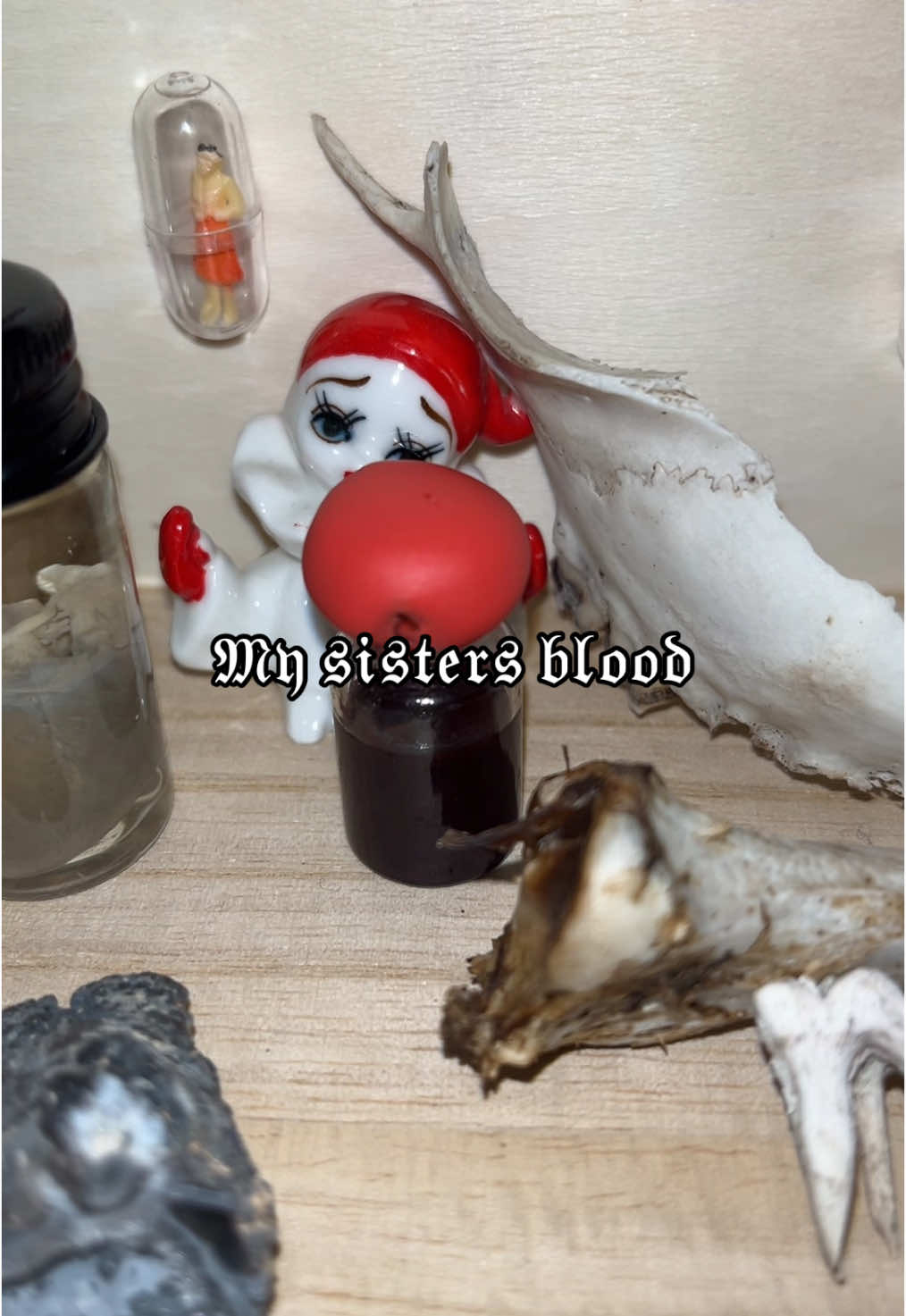 I’m going to buy more wet specimens  #oddities #animalbones #teeth #blood #wetspecimen #crystals #crystal #alt #alternative #alttok #alttiktok #whimsical #armydreamers #katebush 