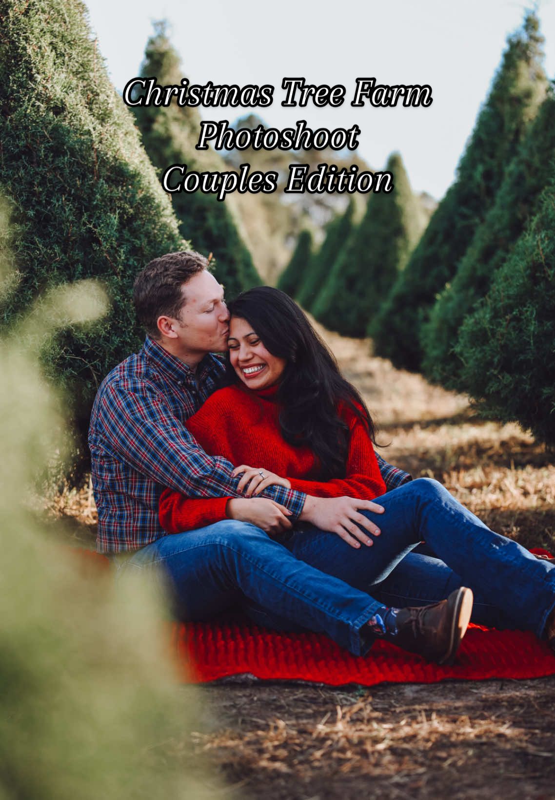 Here’s your sign to do a couple’s photoshoot at a Chrtistmas Tree Farm ♥️🎄  #christmastreefarmphotoshoot ##couplesphotography #christmastreefarm #seasonsgreetings #christmascardideas #christmasphotos 