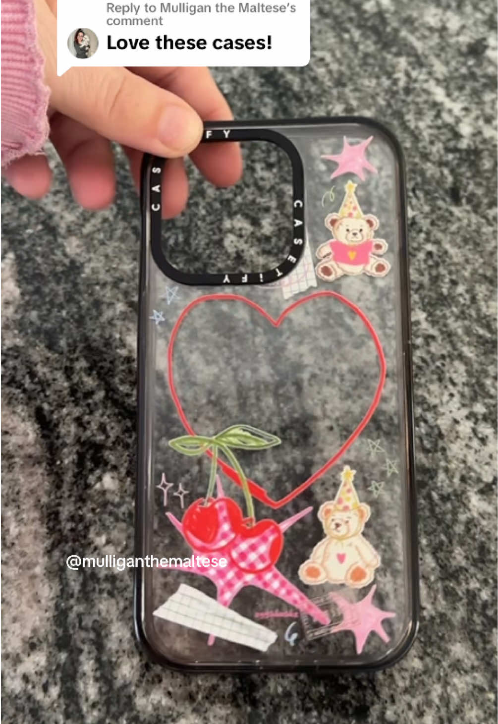 Replying to @Mulligan the Maltese  #giftguide #toptierdecember #tiktokshopholidayhaul #casetify #casetifycases #phonecase #phonecases