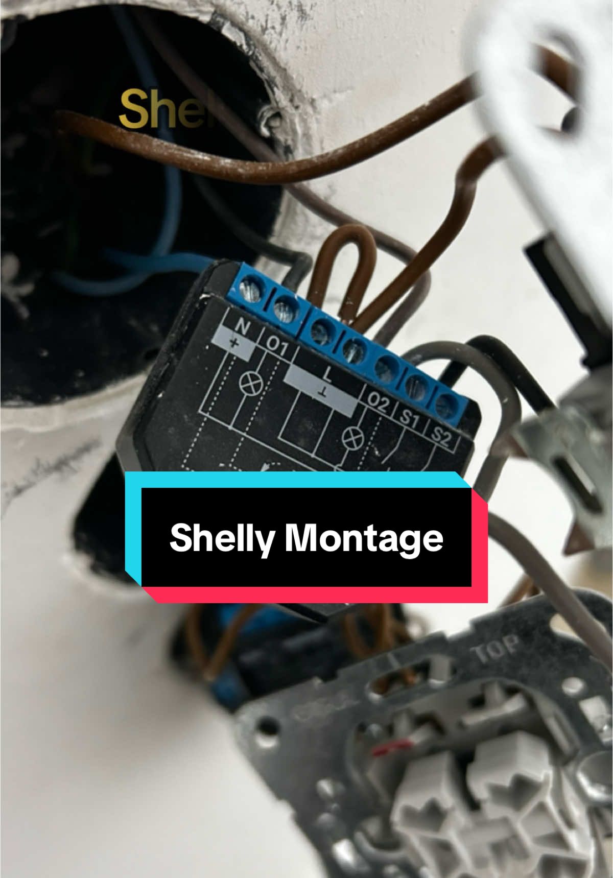 Shelly für faule und coolen Menschen #elektrotechnikkadi #etk #handwerker #arbeit #elektriker #elektro #baustellenleben #monteur #baustelle #montage #macher #handarbeit #arbeiten #elektrotechnik #shelly 