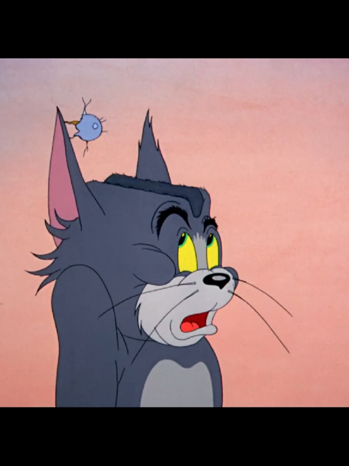 #cartoon #tomandjerry #animation 