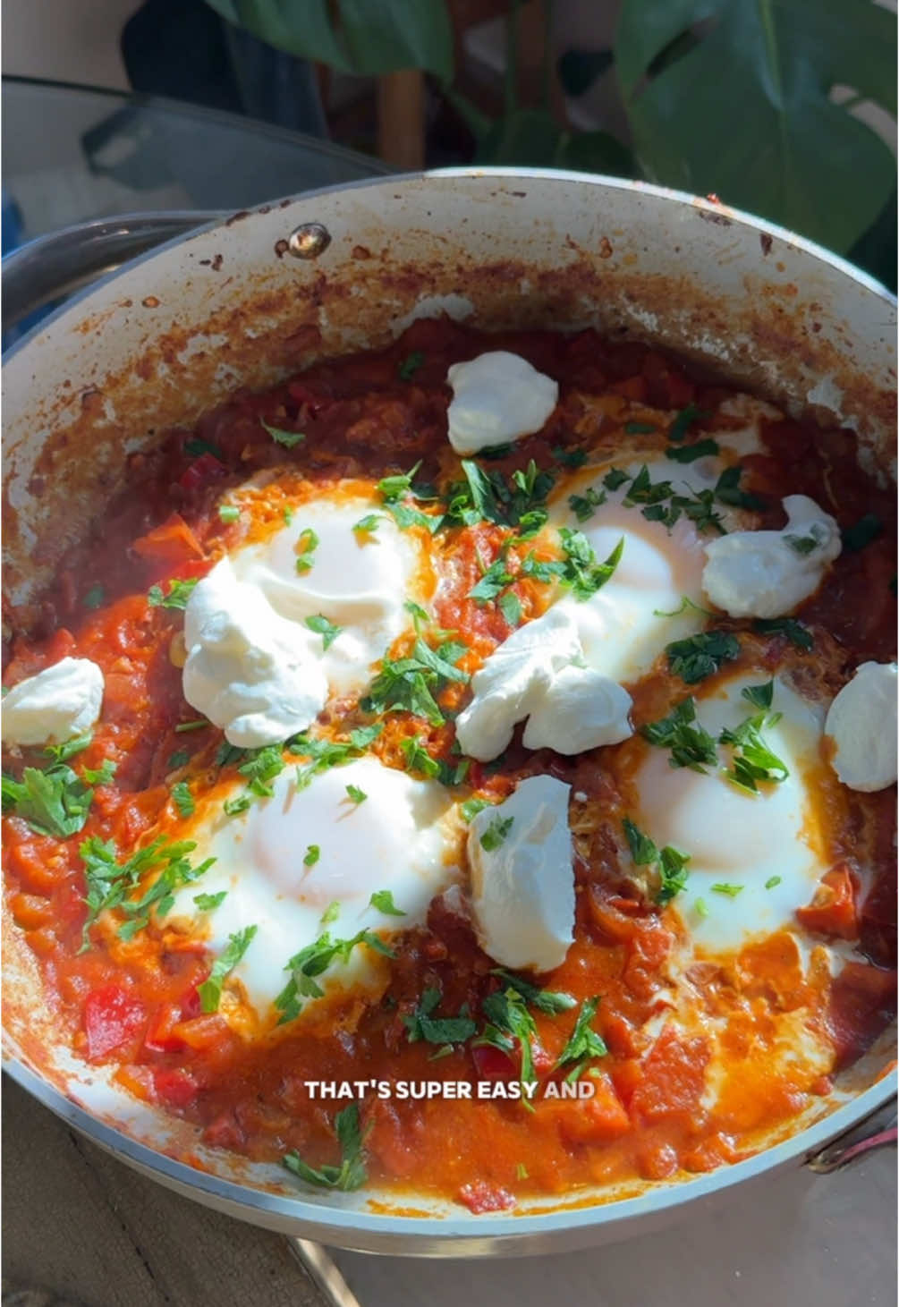 Recipe ⤵️ Super Quick & Easy Shakshuka Recipe 🍳🤍 Ingredients: - 4 eggs  - 1 red bell pepper (diced) - 1/2 an onion (diced) - 3-4 garlic cloves (minced) - 3-4 roma tomatoes (rough chopped) - 1/2 tbsp tomato paste  - 1/4 tsp cumin  - 1/4 tsp paprika  - 1/2 tsp oregano  - 1/4 tsp chili powder  - 1/2 tsp salt  - parsley (topping) - greek yogurt (topping) - 1 tbsp olive oil  - pita/bread on the side  1. Add your olive you to your pan over med heat. Add in your onions & bell peppers.  2. Once onions are nice and translucent add in your garlic. Let that cook down until fragrant. 3. Add in your tomato paste, cumin, paprika, oregano, and chili powder. Let that cook down for 2-3 mins.  4. Add in your tomatoes & salt, and let them cook down until softened, they should be like falling apart into a sauce. 3-4 mins.  5. Add in a bit of water & let it come together into a sauce for a couple of mins. Adjust any seasonings to your liking.  6. Make little pockets with your spoon, and crack in your eggs. Cover and cook on medium low heat for 4-6 mins until the white are set but the egg yolks is jammy.  7. Top with parsley & dollops of greek yogurt. Serve w some warmed pita or bread & enjoy right out of the pan babe! #shakshuka #brunchrecipes #easybreakfast #weekendrecipes 