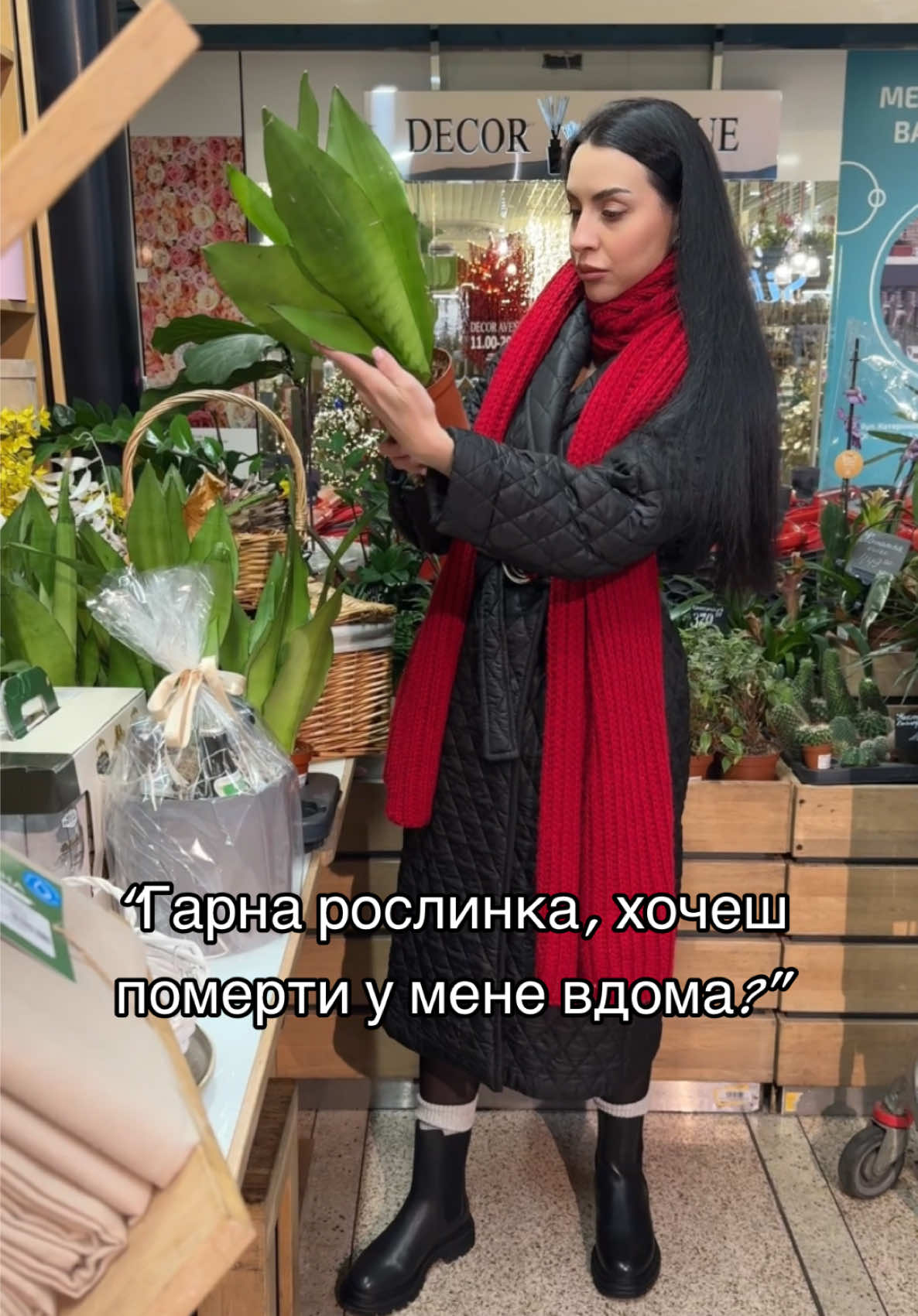 А як у вас з кіснатними рослинами?🥀 #КімнатніРослини #ДоглядЗаРослинами #Квіти #РослиннийГумор