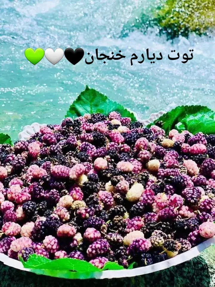 تاجیک_هزاره_ازبک_پشتون_ترکمن🇦🇫 توت دیارم ارزش لایک و کمنت نداره🖤🤍💚