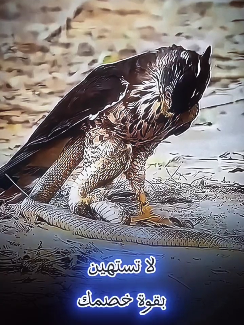 snake vs bird #snake #bird #conflict 