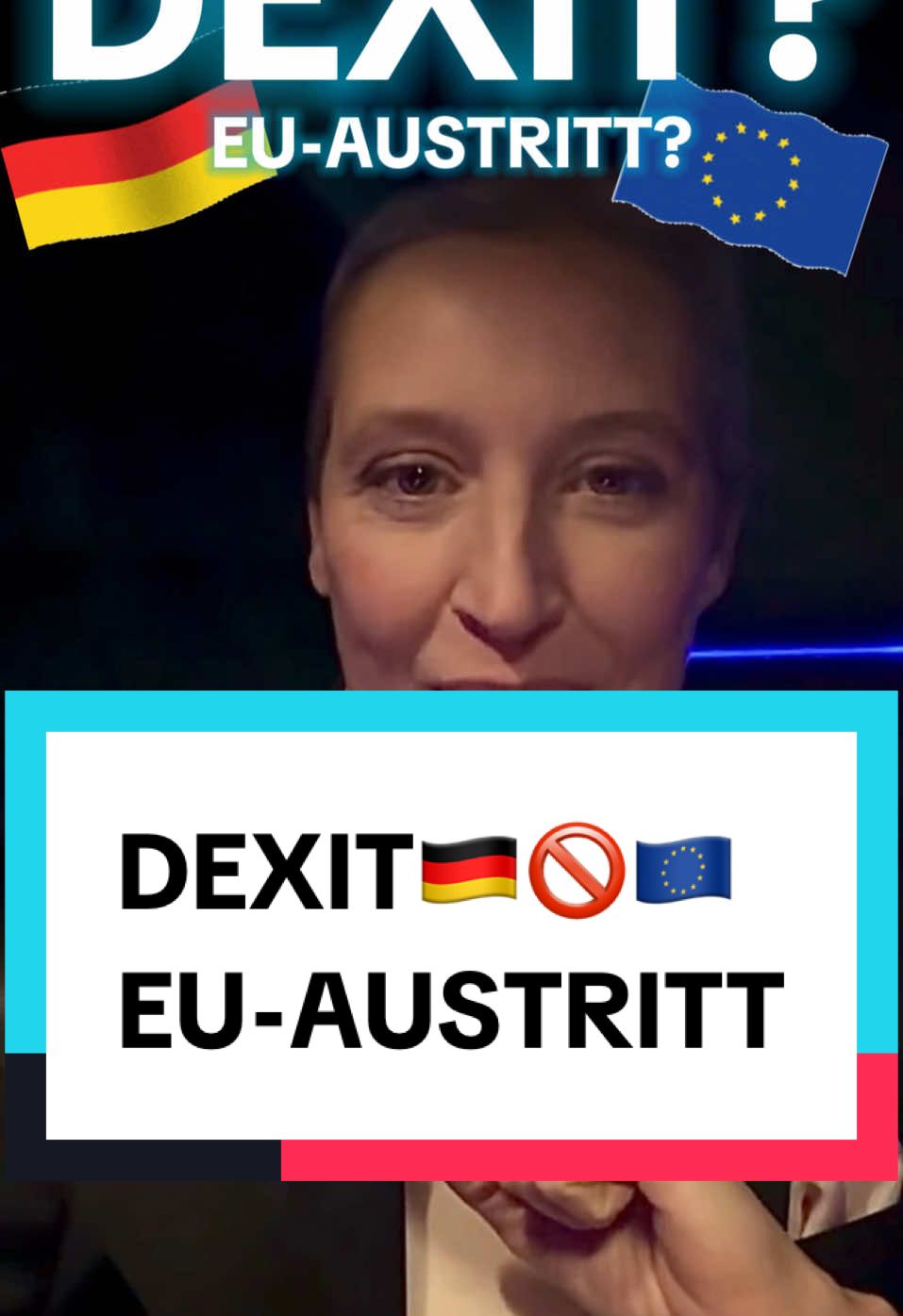 🇩🇪🇩🇪🇩🇪🚫🇪🇺🇪🇺🇪🇺#dexit #weidel #kanzlerkandidatin #teamalice 