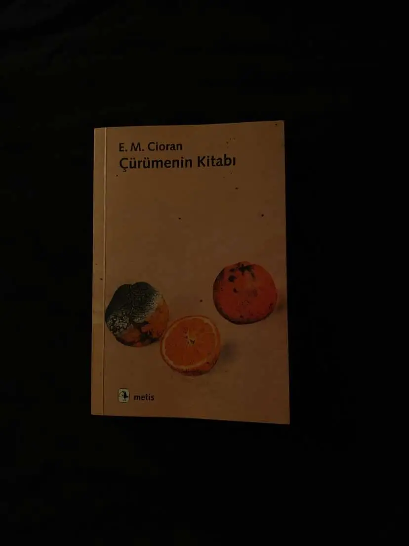 #çürümeninkitabı #emilecioran 