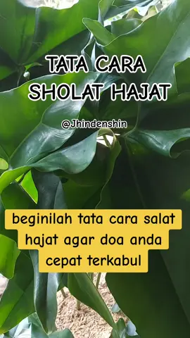 Assalamualaikum🙏 Sholat hajat dapat dikerjakan minimal dua rakaat dan maksimal dua belas rakaat. Waktu terbaik untuk mengerjakan sholat hajat adalah pada sepertiga malam terakhir.  Setelah selesai sholat hajat, dianjurkan untuk duduk dengan khusyu' lalu membaca istighfar sebanyak 100 kali atau sekurang-kurangnya 33 kali. #sholat #hajat #sunah #istiqomah  #masyaallahtabarakkallah #foryou 