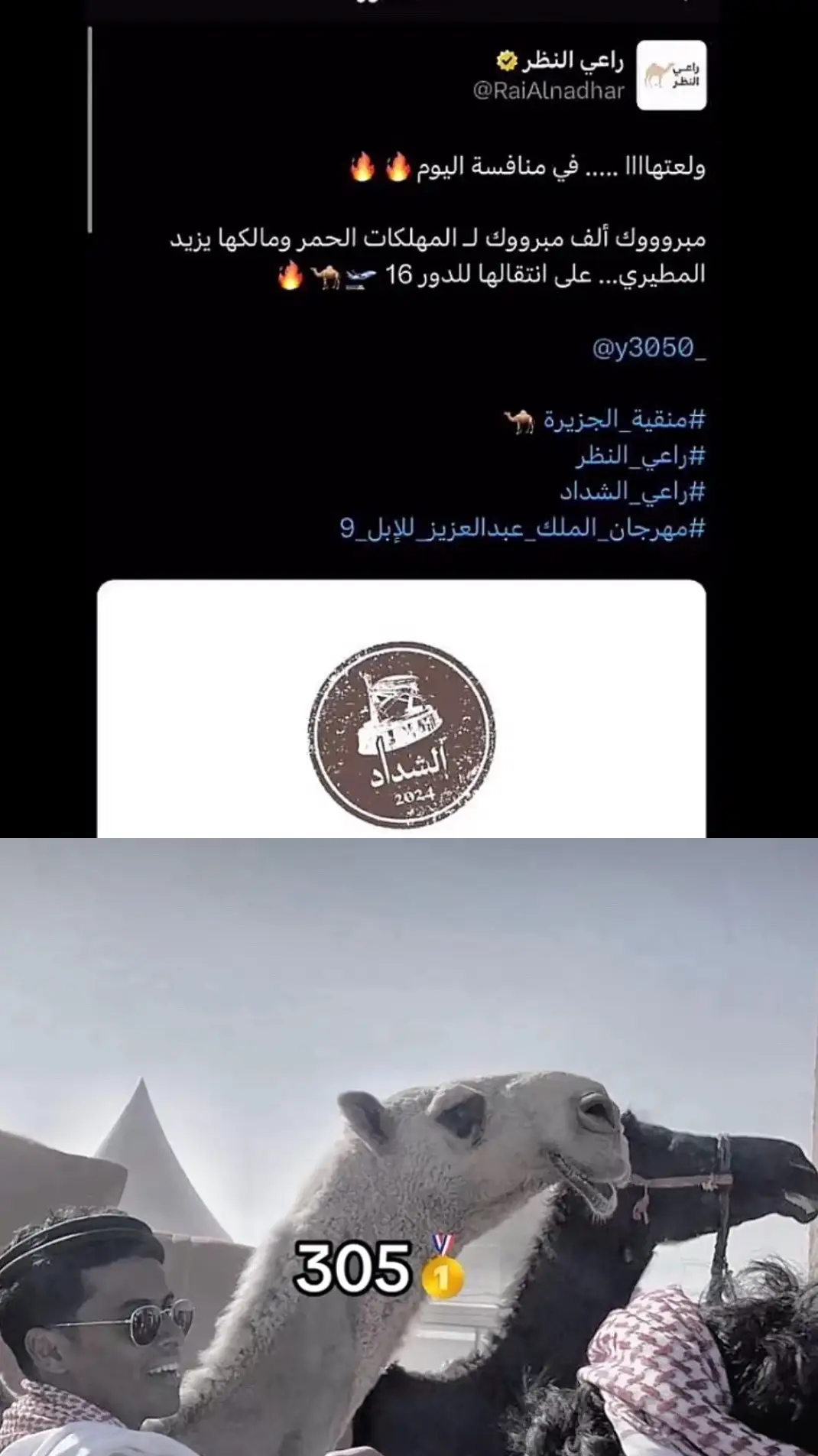 #قعيدالمجد 