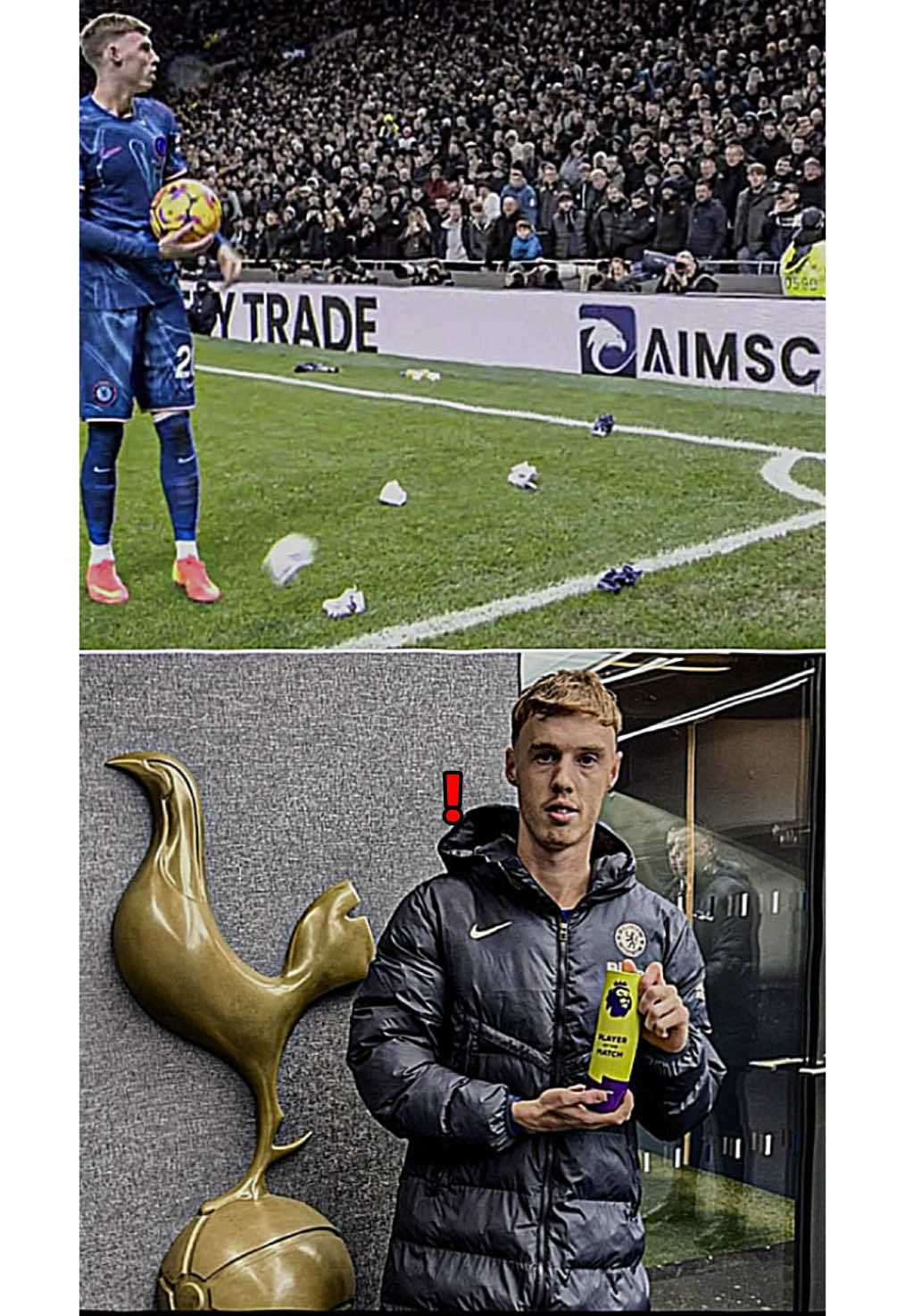 Tottenham fans throwing everything at Cole Palmer today 😳💥 But guess what? He turns all that energy into a MOTM performance 🔥👑. You can’t stop greatness! 🙌  . . . . . #ColePalmer #MOTM #SpursVsChelsea #Football #NoRespect #KeepItMoving #foru #foruyou #goat #spurs #chelseafc 