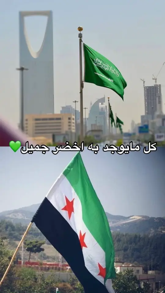 #syria #saudiarabia🇸🇦 #viral #fyp  #foryou #foryoupage #fypシ 