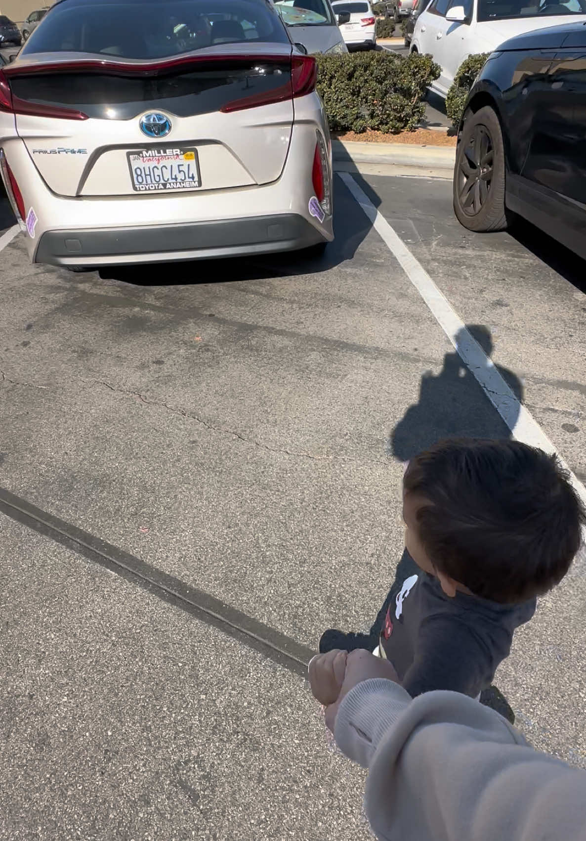 In a field of Toyotas.. #carswithcaysen #toddler #toddlersoftiktok #car #carsoftiktok #cars #makesandmodels #toyota 