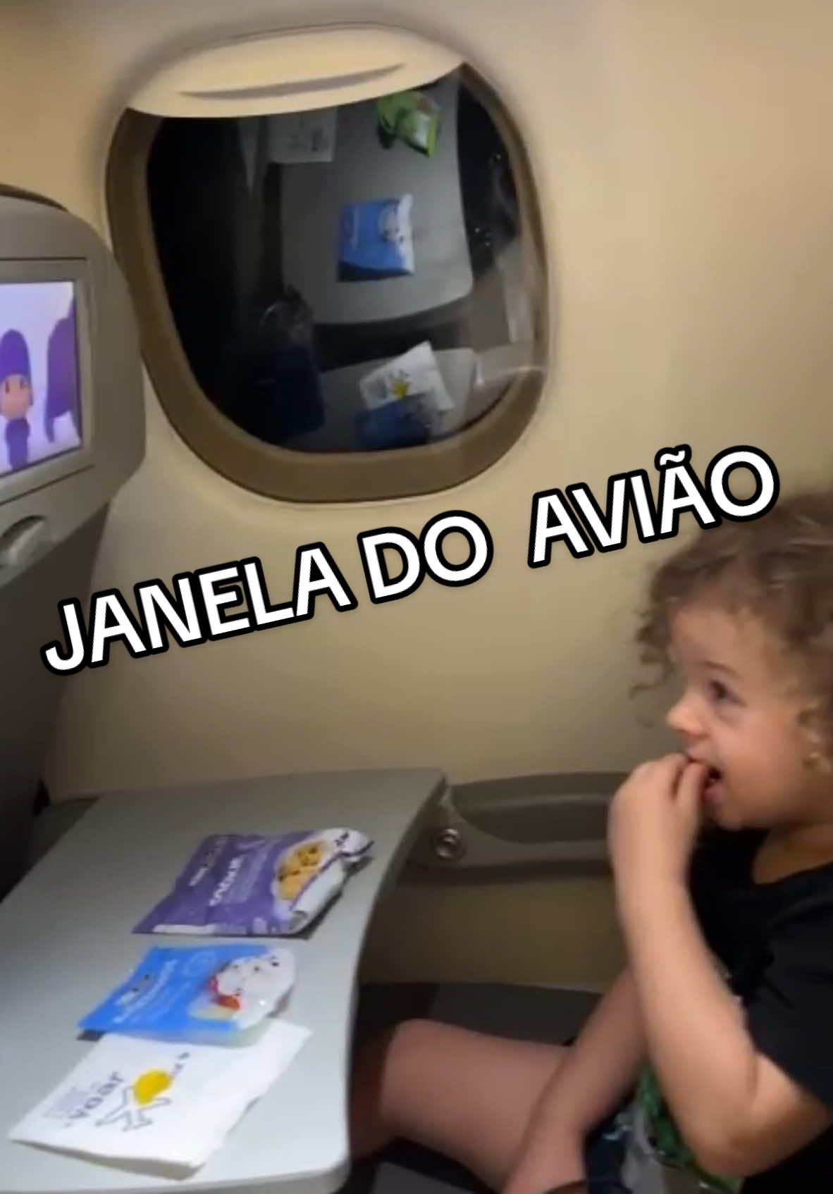 A responsabilidade foi minha de optar por comprar ou nao a janela do avião #viral 