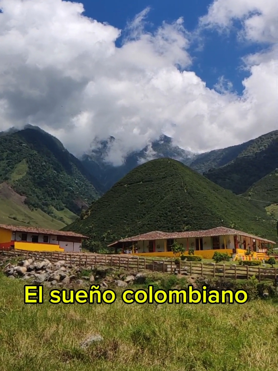 La Finca Campesina Los Gallego: un pedacito de encanto bajo las majestuosas sombras de los Farallones del Citará. Enclavada en las montañas, este lugar mágico alberga una montaña de café que crece con el amor y la dedicación de quienes trabajan la tierra. Cada grano cuenta una historia, y cada rincón de esta finca refleja la belleza y la tradición de nuestra tierra. recuerden que está finca es zona de taparto pero no de andes, está en jurisdicción del municipio de Betania Antioquia. #betania #pueblos #pueblos #historia #cafe #colombia #antioquia 