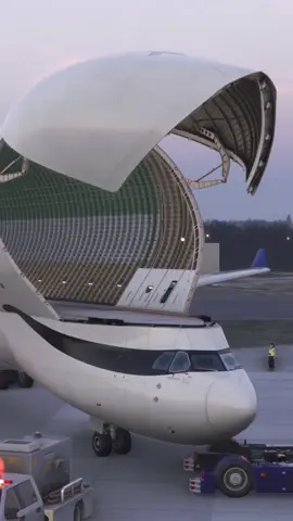 Inside The Beluga XL5  #inside #beluga #xl5 #aviation #airline #aircraft #aviationlovers #airbus #airport #foryour #airbus 