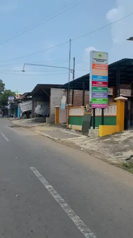 Bisa