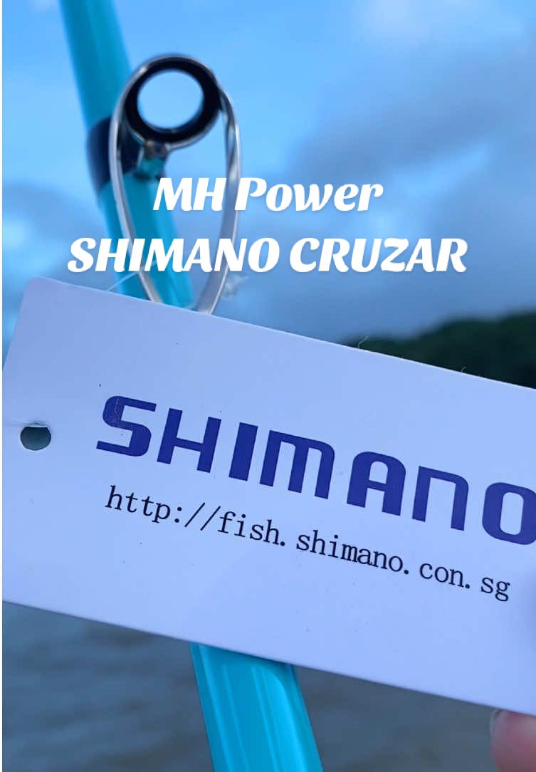 Dahil out of stock na agad ang Purple White Shimano naten, try this New Shimano cruzar Light blue💙 MH Power & 1.8m to 3m available! #shimano #shimanocruzar #shimanofishing #shimanorod #rod #lightblue #blue #angler #fishing #fishinglife #gift #giftideas #christmasgift 