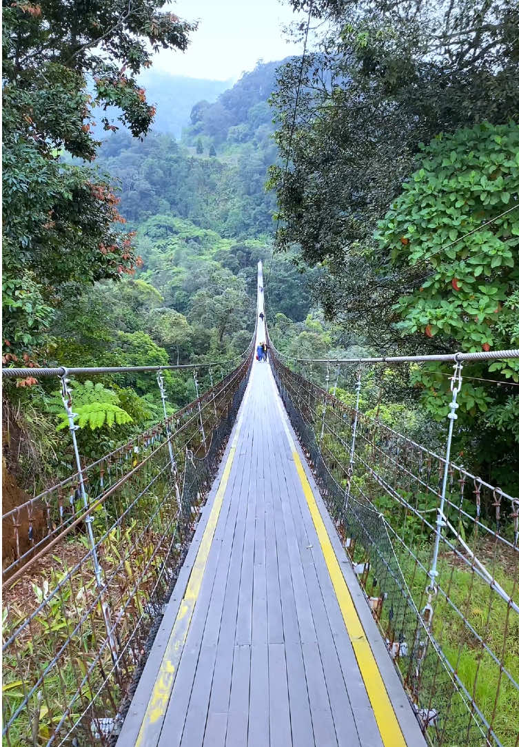 Prank jalan2 di jembatan gantung kawah rengganis ciwidey bandung #jalanjalan #prankvideo #prankjalanjalan #prank #prankvideos #fyp #foryou #foryoupage #mentahan #mentahanvideo #bandung #ciwidey #ciwideybandung #kawahrengganisciwidey #jembatangantung #ciwideypoenyacerita 