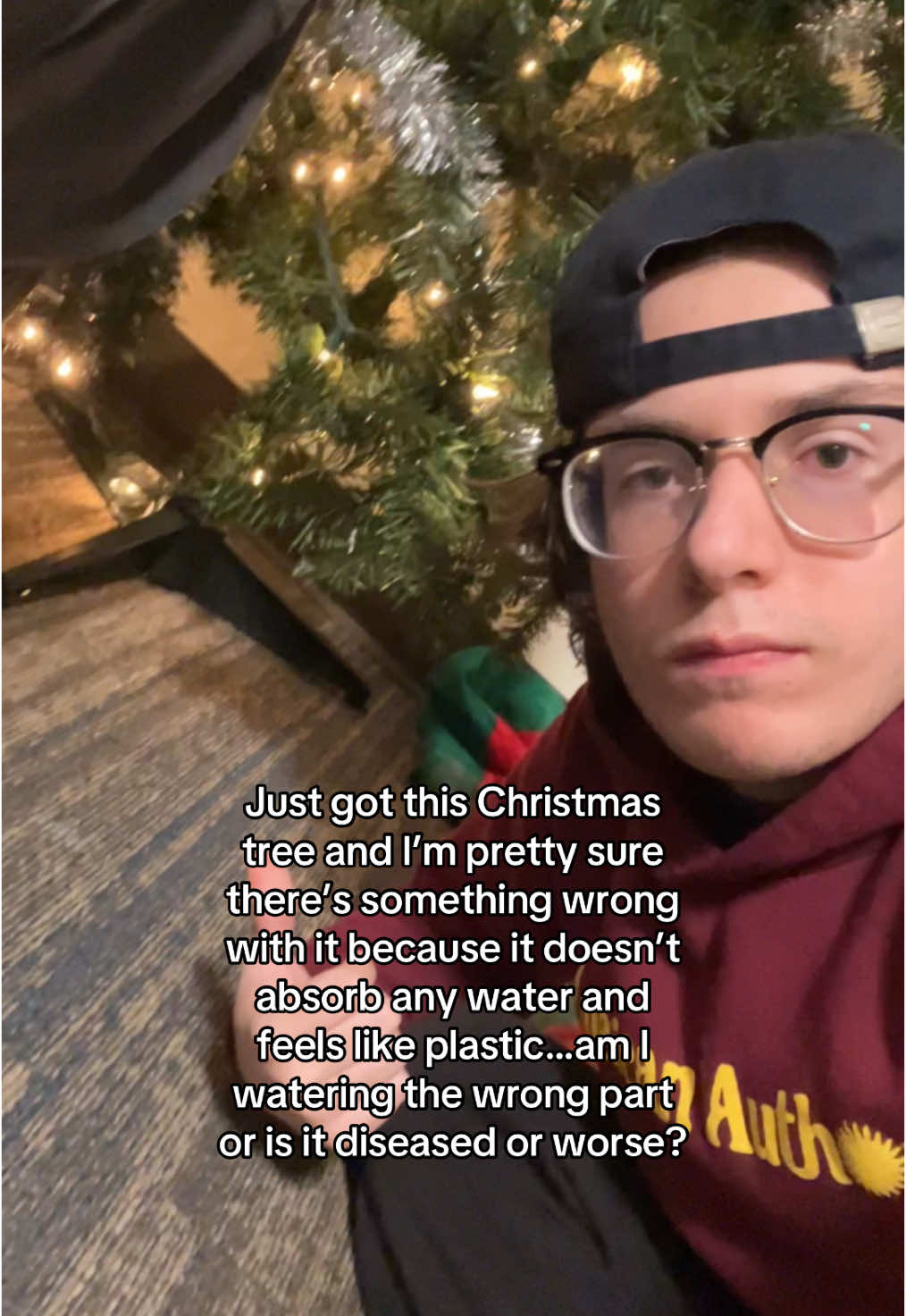 my christmas tree wont aborb water…