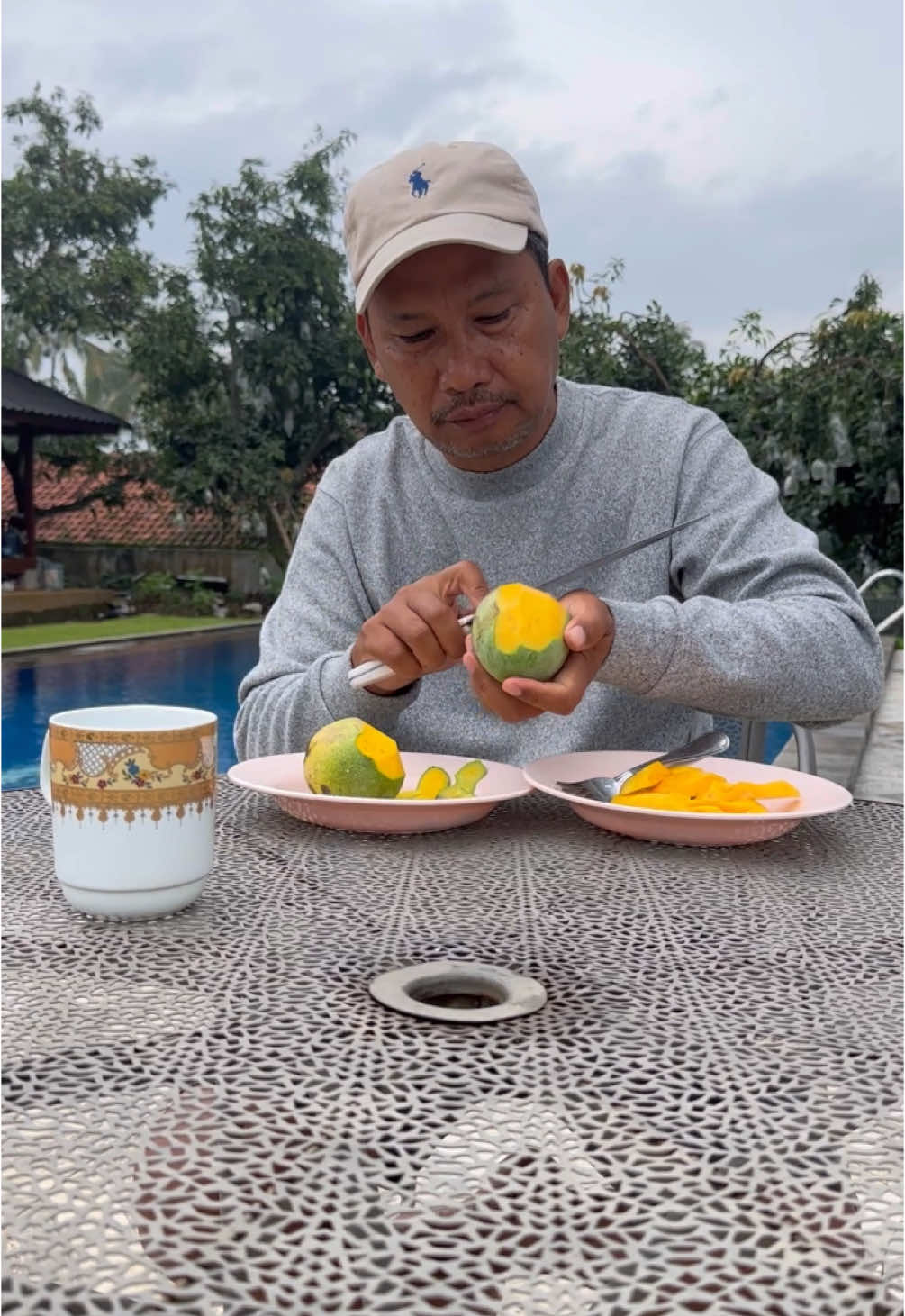 Menikmati Sarapan Mangga Madu Matang di Pohon #mangga #mango #buahmangga #sarapanbuah #fyp #fypシ゚ #viral #fypage #viraltiktok #foryoupage #tranding #tiktokviral #petanimuda #petaniindonesia🇮🇩🇮🇩🇮🇩🌿🌿 #berkebun #berkebundirumahaja #village #villagelife #hobby #fruit #cianjur #salimdaily #fruits #buah #mukbang 