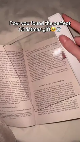 A must have for every book lover😍 Link in bio🎄 #fyp #BookTok #fypシ #fypp #fy #books #gift #reading #book #giftsforbooklovers #light #christmas #read #santa #cozy 