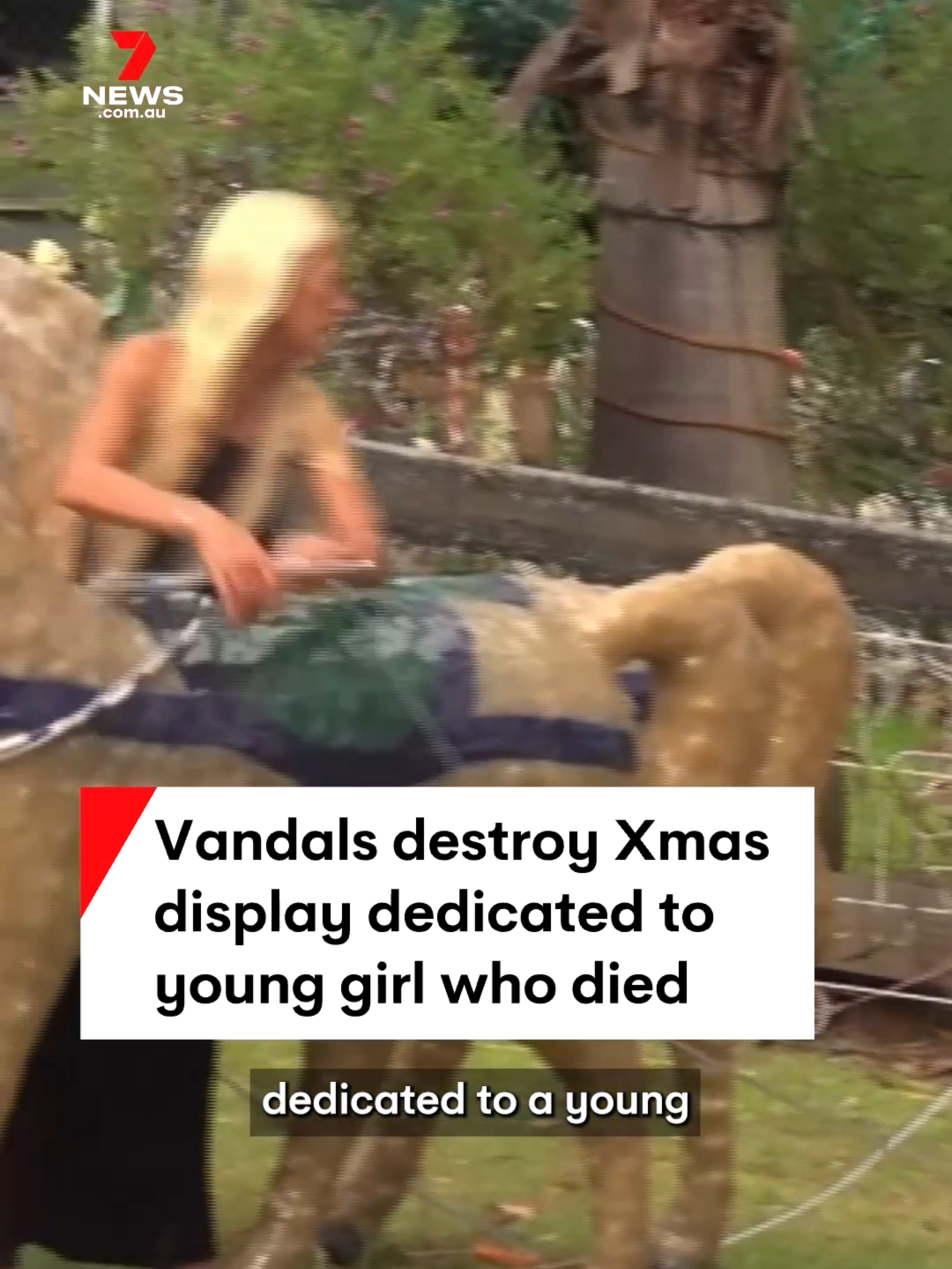 Heartless vandals have destroyed a Christmas display dedicated to a young Newcastle girl who passed away last year. #xmas #christmas #christmasdisplay #vandal #vandals #vandalism #newcastle #newcastlensw #nsw #newsouthwales #7NEWS