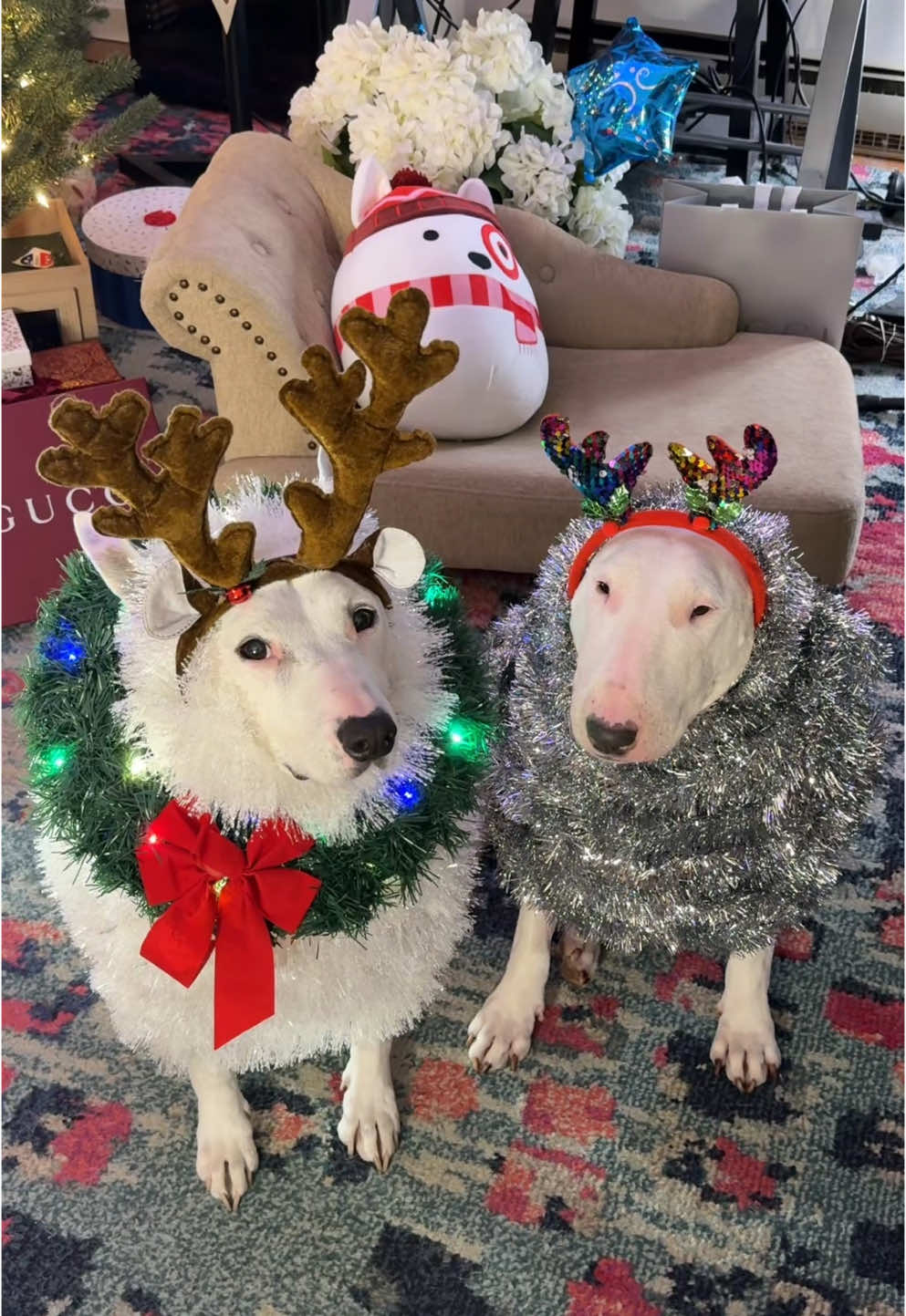 The goodest reindeer 🎄🦌#christmas #reindeer #funny #dogs 