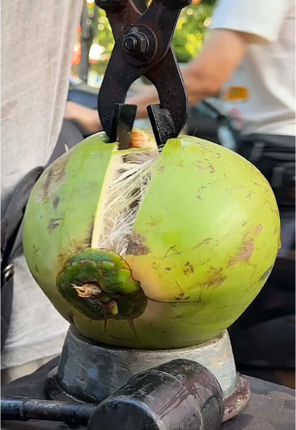 How to cut a coconut without using force 📍Taman Free School Market Penang https://maps.app.goo.gl/fPjRwUAq6pucsJaw7 Taman Free School, 10150 George Town, Penang, Malaysia ⏰ 8 am open #coconut #coconutwater 