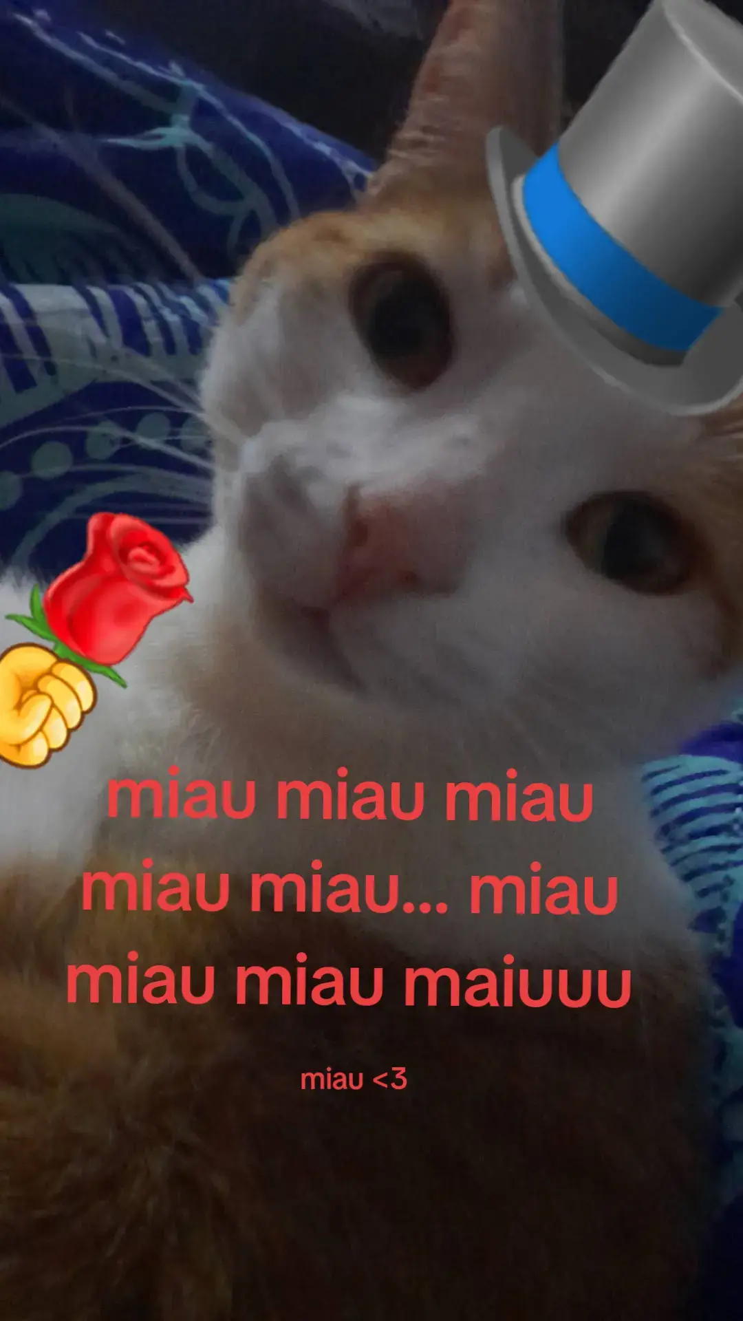 miau miau miau miau miau 🍷🗿🥀