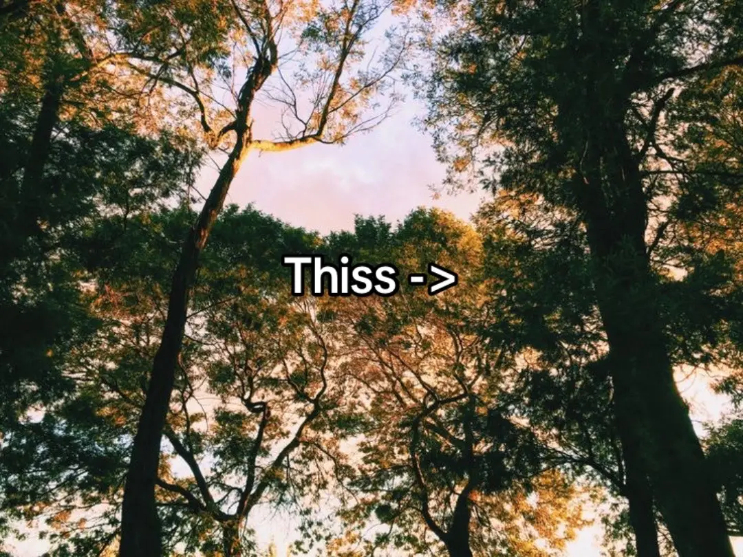 Guys we’re so close to 10k & im so very happy to see I’ve reached the correct audience & connections. I appreciate each of you, genuinely thank you all so much. I’ve been busy lately but i want to always make time for this. It seems like when im happy there’s this urge to lessen the posts due to the amount of things occupying my time. But more than that I somply want to enjoy every bit of it, it keeps me within those moments for its entirety rather than snipping bits & pieces. When im not so great, i cling tightly to this page. Although it helps you all, its the best way for me to acknowledge that my voice & existence matter.. So this’ll inevitably continue & as you guys are learning about this “Mr. Lostmen”, im learning how to better improve the things that’ll better cater & add substance to my writing. Im rambling at this point but currently im so very happy & its simply all thanks to you all!  - Mr. Lostmen #hopecore #fyp 