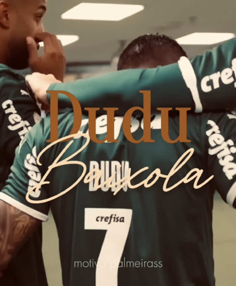 Dudu, para sempre você! 💚 #dudu #palmeiras #brasileirao 