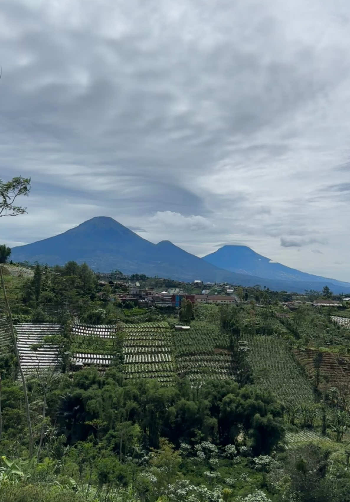 Wonosobo yang indah gak cuma Dieng saja, yang rumahnya Watumalang absen sini 😀 #fyp #wonosobo #dieng 