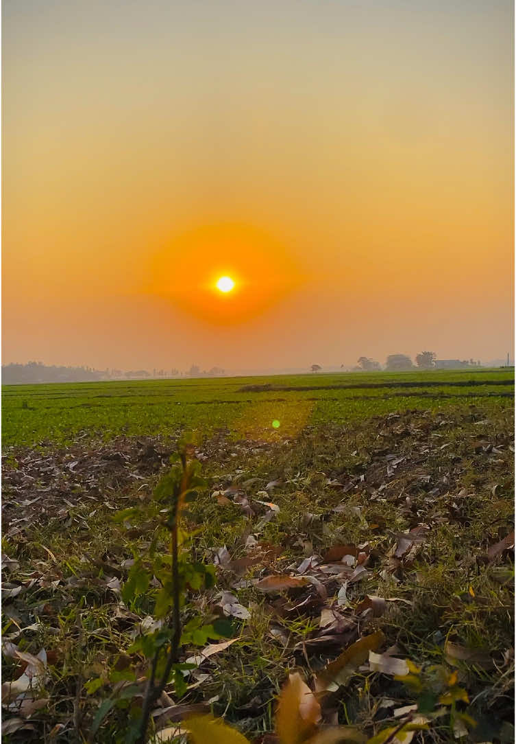 ᥫ᭡—যদি সুখ পেতে চাও তাহলে চার দেওয়ালের মাঝে বন্দী নয় খোলা আকাশের মাঝে প্রকৃতির সাথে মিশে যাও──༅༎ 🍃🌿 #প্রকৃতি #sky #tree #fyp #fypシ #fypシ゚viralシ #unfrezzmyaccount #tiktok #shorts #song #weather #views #reels #nature #natural #scenery #foryou #trending #viral #viralvideo #sunset #akash #NaYaN #NaYaN56 @TikTok @tiktok creators @TikTok Bangladesh 