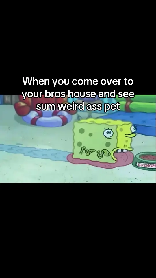 #spongebob 