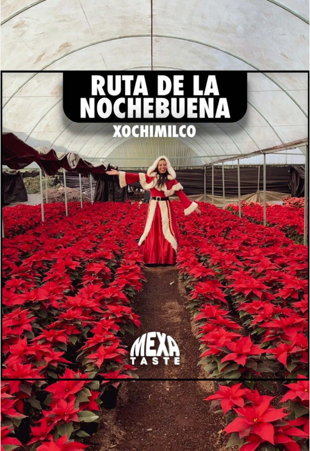 La ruta de la nochebuena es realizado por @explora_xochimilco y si quieres asistir, solo tienes que apartar tu lugar con el 50% y el resto se liquida el día de ml evento.  Es de lunes a domingo, y hay horario matutino a las 4:45am o vespertino 4pm. No te pierdas de esta aventura!  . . . #rutadelanochebuena #nochebuena #xochimilco #invernadero #trajineranavideña #navidad #cdmx #dondeircdmx #posada #mexico #karaoke #shownavideño 