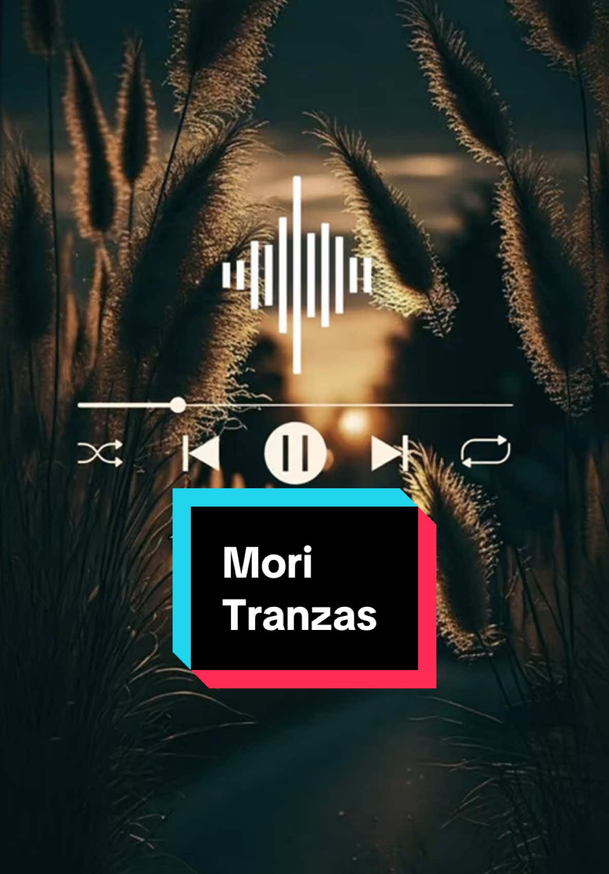 Mori/ Tranzas 2002#canciones #cancionesdeamor #musica #mori 