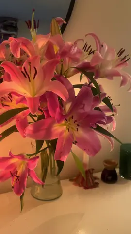 this song + lilies. #lilies 