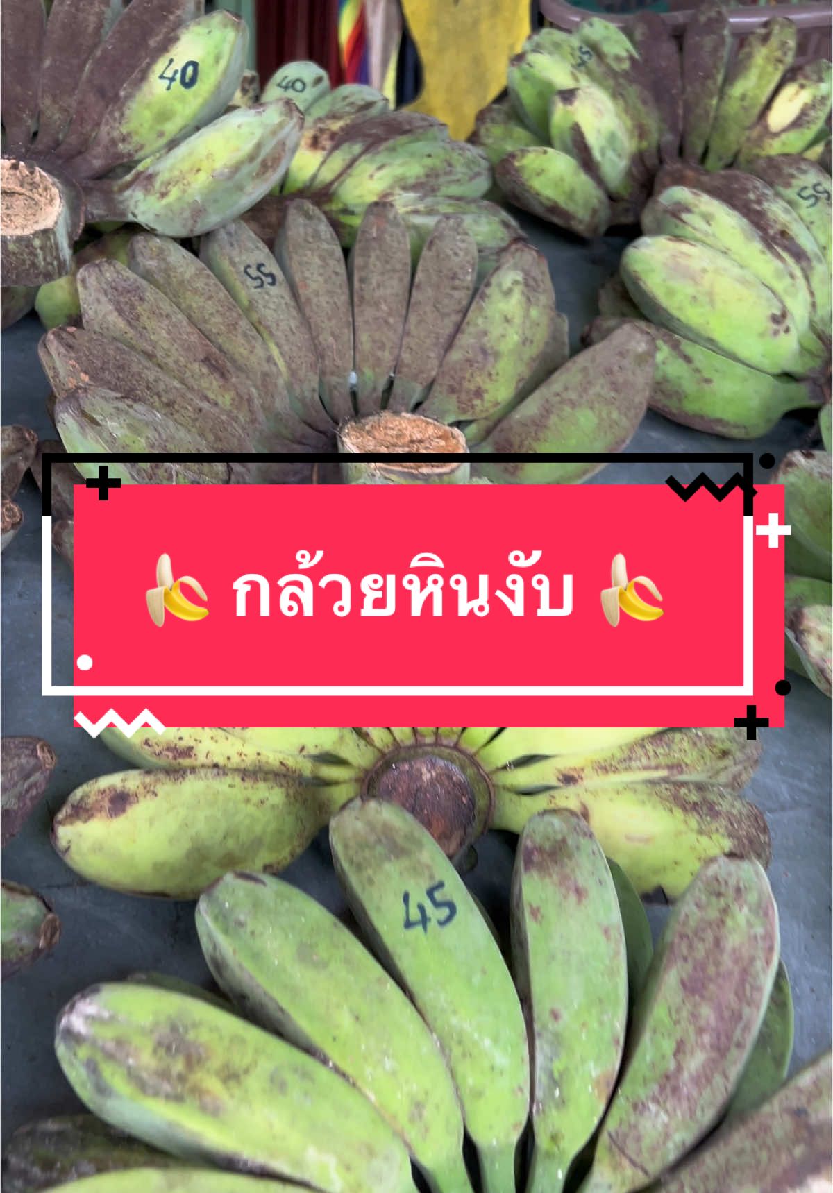 หาดใหญ่แวะได้เลยจั๊ฟ 🍌🍌  #กล้วย #กล้วยหิน #ผลไม้ #อาหารนก #นก #นกกรง #นกกรงห้วจุก #นกกรงหัวจุกแดนใต้💯 #นกกรงหัวจุกแฟนซี #หาดใหญ่ #หาดใหญ่สงขลา #หาดใหญ่หวานมาก 